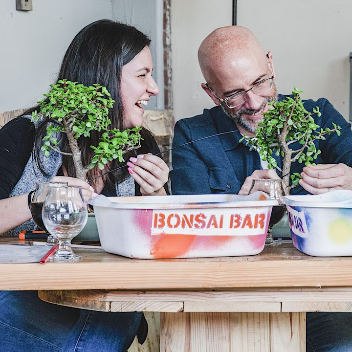 Bonsai Bar at wyllo